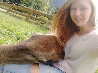 Franzl beim Mittagsschlaf