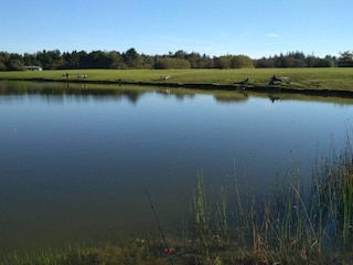 Ferienhaus Jegum  30