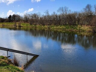 Vakantiehuis Jegum  41