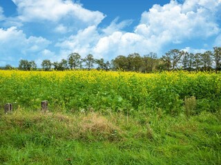 Vakantiehuis Hamont-Achel Omgeving 35