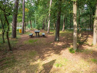 Casa de vacaciones Hamont-Achel Entorno 36