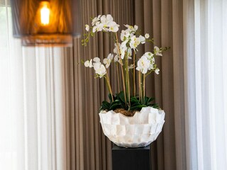 Vakantiehuis Hamont-Achel  39