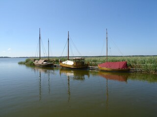 Ferienhaus Prerow Umgebung 28