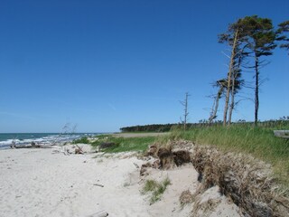 Ferienhaus Prerow Umgebung 29