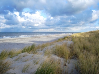 Ferienhaus Prerow Umgebung 30