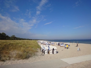 Ferienhaus Prerow Umgebung 31