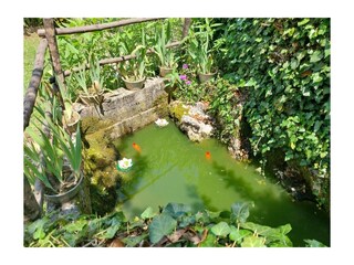 Holiday house Labin Environment 24