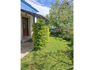 Garden in front of the house entrance