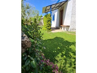 Garden in front of the house