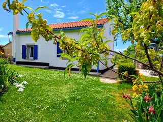 Rückseite des Hauses und Garten