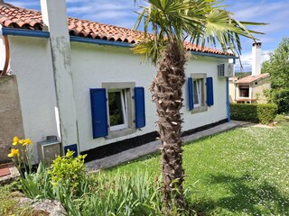 Back of the house and garden