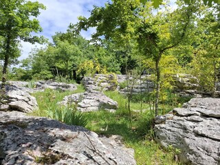Ferienhaus Labin Außenaufnahme 12