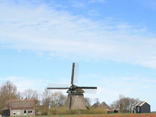 Vakantiehuis Julianadorp Omgeving 30
