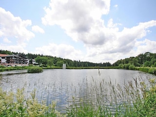 Appartement Hahnenklee Environnement 23