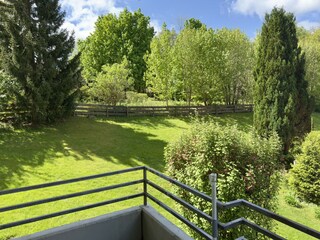 Apartment Hahnenklee Outdoor Recording 6