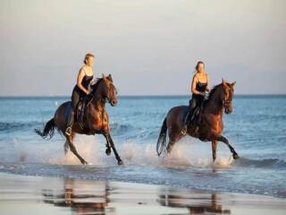 Casa per le vacanze Churriana Ambiente 15