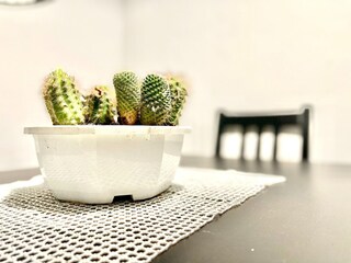 Appartement Torremolinos Équipement 26