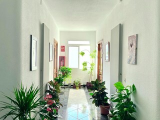 Appartement Torremolinos Kenmerken 29