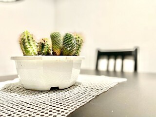 Appartement Torremolinos Équipement 4