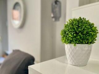 Apartment Torremolinos Features 21