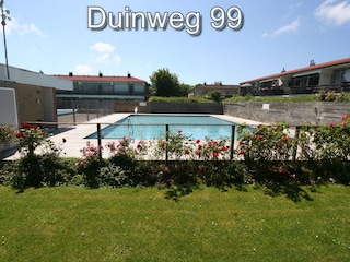 Blick auf Pool