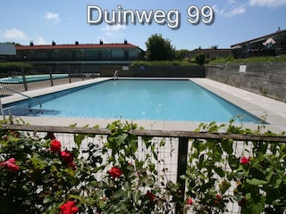 Blick auf Pool