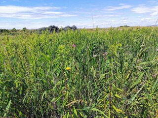 Ferienhaus Karrebæksminde  9