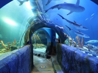 Appartamento Mülheim an der Ruhr Registrazione all'aperto 11