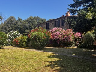 Apartamento de vacaciones Ravi Entorno 17