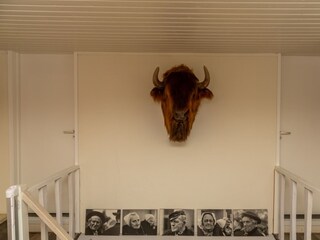 Casa de vacaciones Groot Valkenisse Características 10