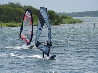 Apartment Kamperland Environment 28