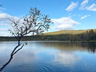 Vakantiehuis Welt  36