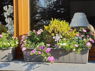 Holiday house Neufchâteau  36