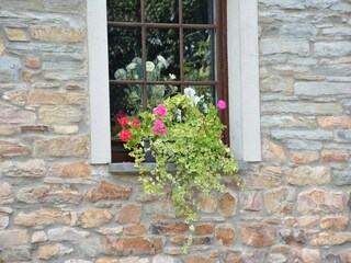 Vakantiehuis Neufchâteau  38