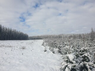 Holiday house Neufchâteau Environment 35