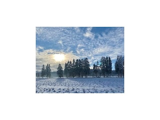 Holiday house Neufchâteau Environment 35