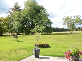 Ferienhaus Neufchâteau Außenaufnahme 2