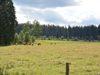 Vakantiehuis Neufchâteau Buitenaudio-opname 14