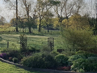 Ferienhaus Neufchâteau  37