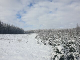 Ferienhaus Neufchâteau Umgebung 35