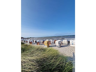 Meer