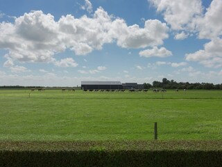 Vakantiehuis Oostkapelle Omgeving 17