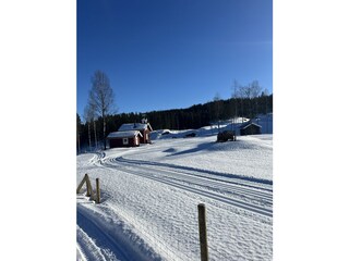 Cross-country ski trails right outside the door