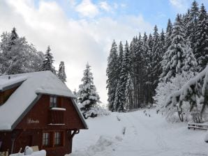 Holiday house "Forestmill" at residential park Weiherhof at lake Titisee - Titisee-Neustadt - image1