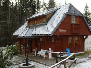 Ferienhaus Titisee-Neustadt Außenaufnahme 4