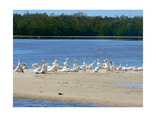 Entdecken Sie die Freizeitmöglichkeiten Floridas