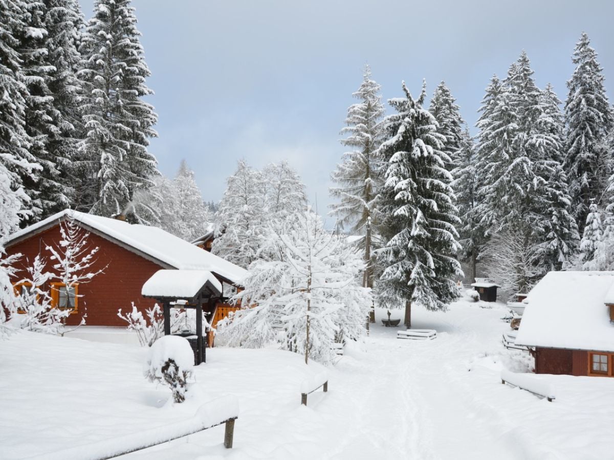 Holiday house Titisee-Neustadt Outdoor Recording 1