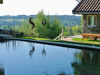 Appartamento per vacanze Hohenweiler Registrazione all'aperto 7