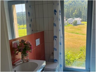 Appartamento per vacanze Hohenweiler Caratteristiche 21