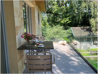 Appartamento per vacanze Hohenweiler Caratteristiche 24